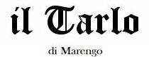 Il Tarlo - I Love IT