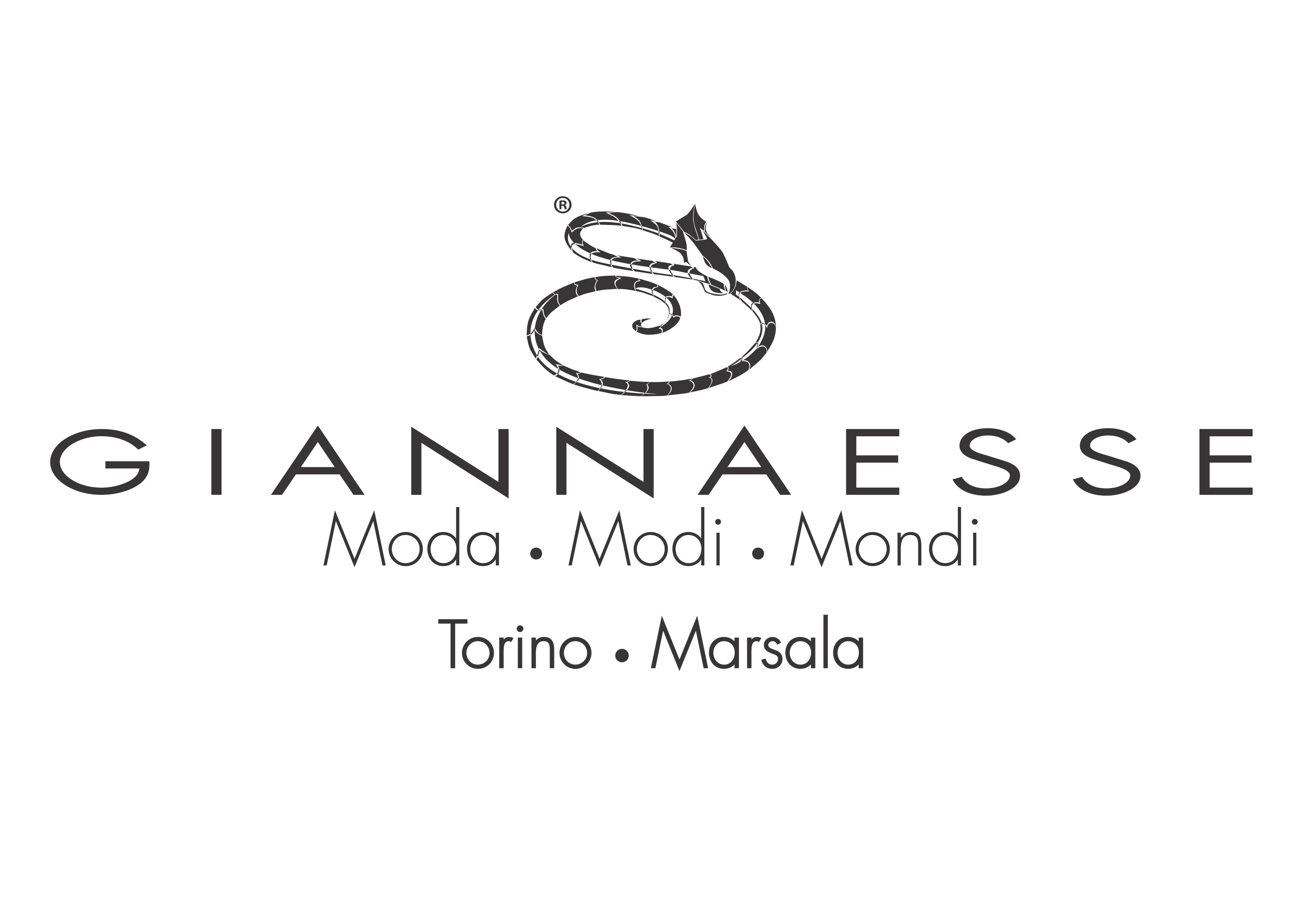 logo giannaesse 2017 01